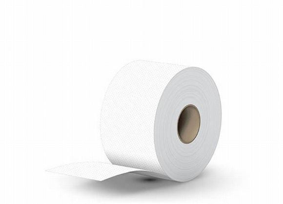 Jv Wc Mini Jumbo Soft 130m/rll/ 12rll/skk